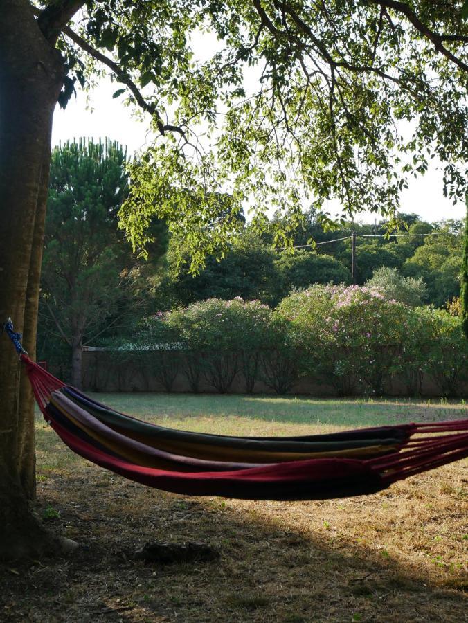 Gites De La Massane Argelès-sur-Mer Eksteriør billede