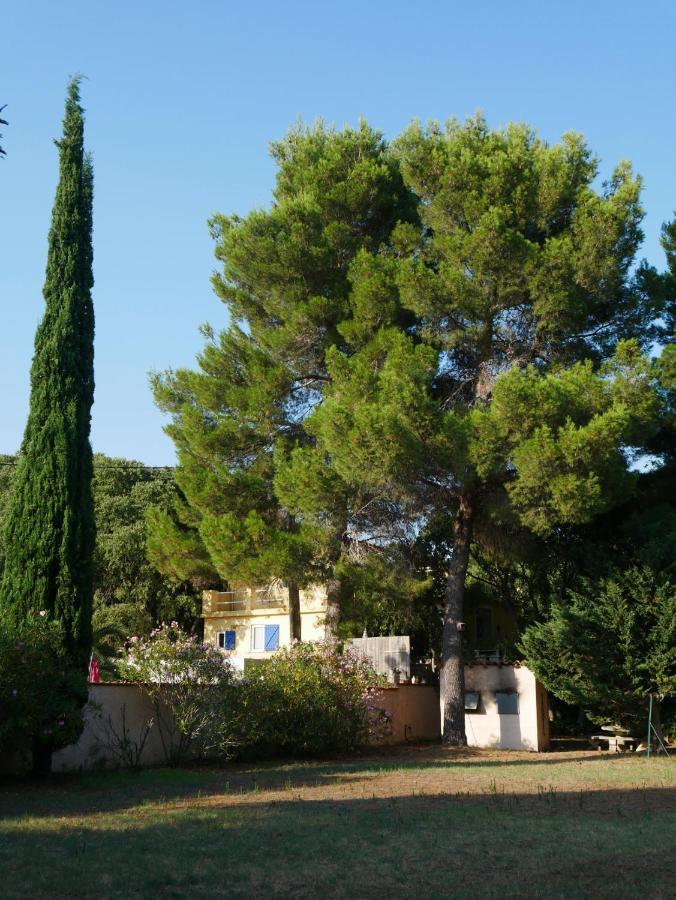 Gites De La Massane Argelès-sur-Mer Eksteriør billede