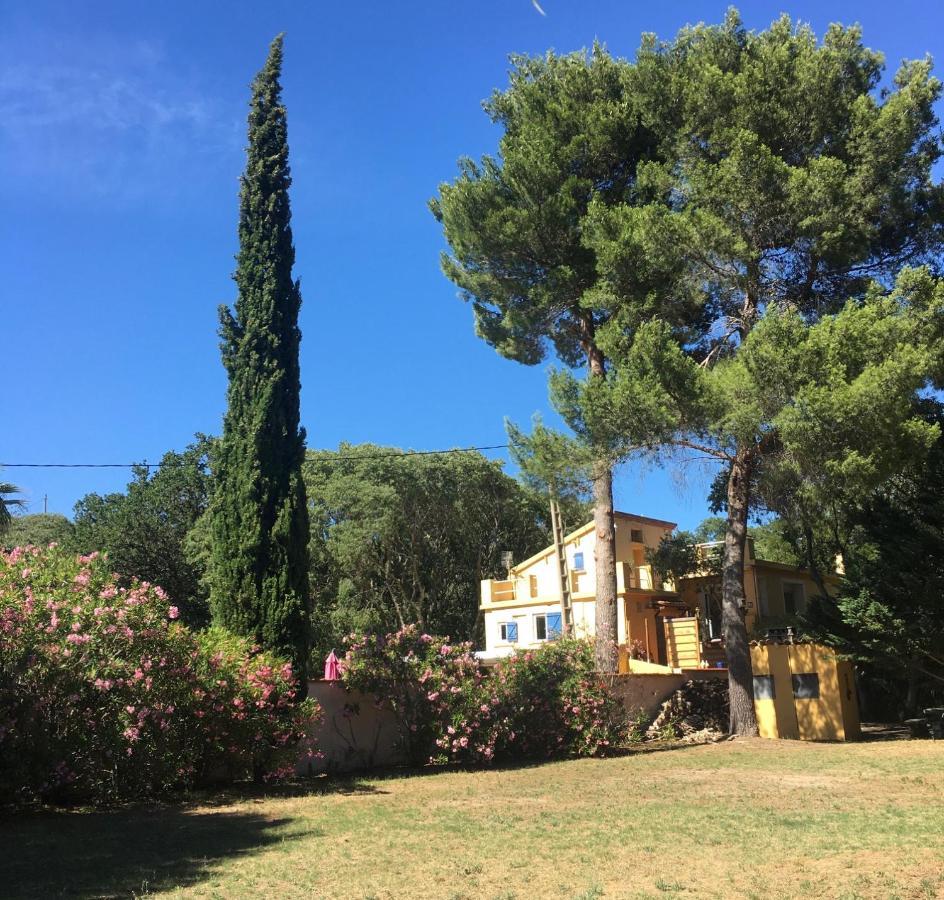 Gites De La Massane Argelès-sur-Mer Eksteriør billede